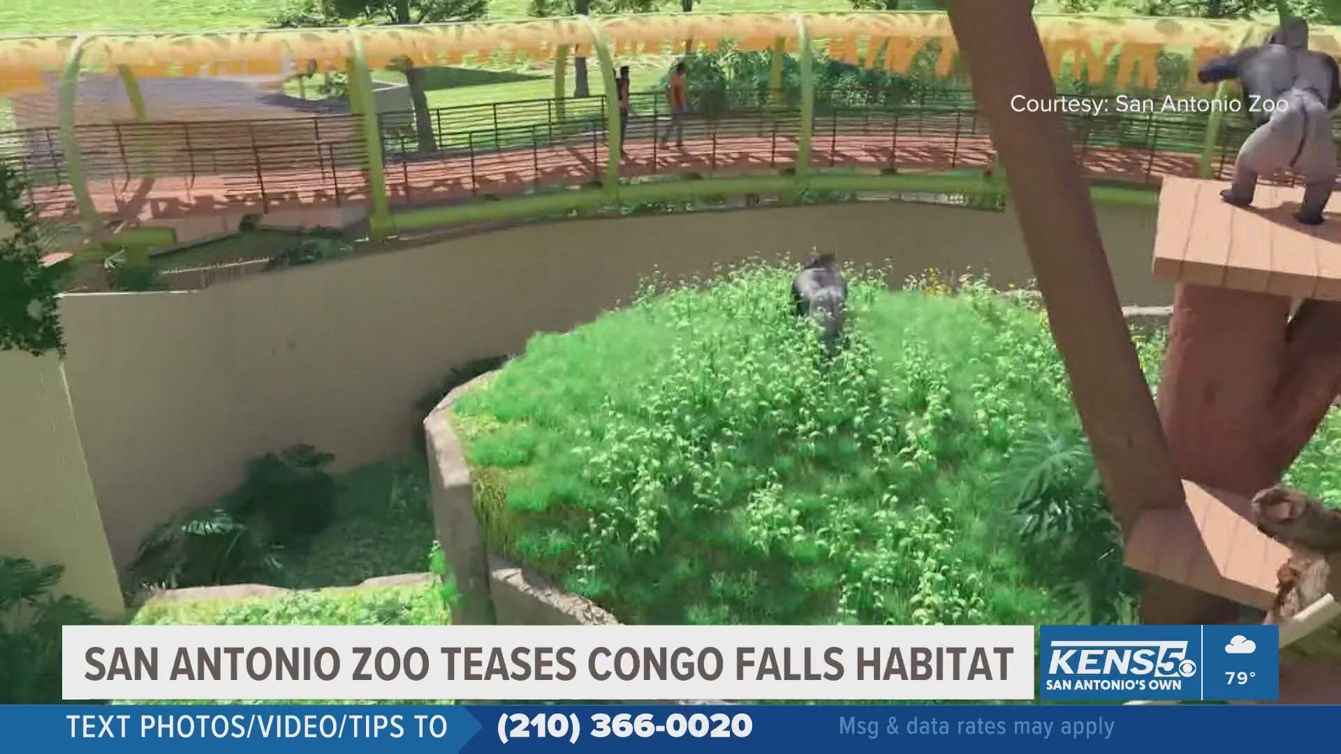 The 2-acre habitat is set to introduce eight gorillas to the San Antonio community.