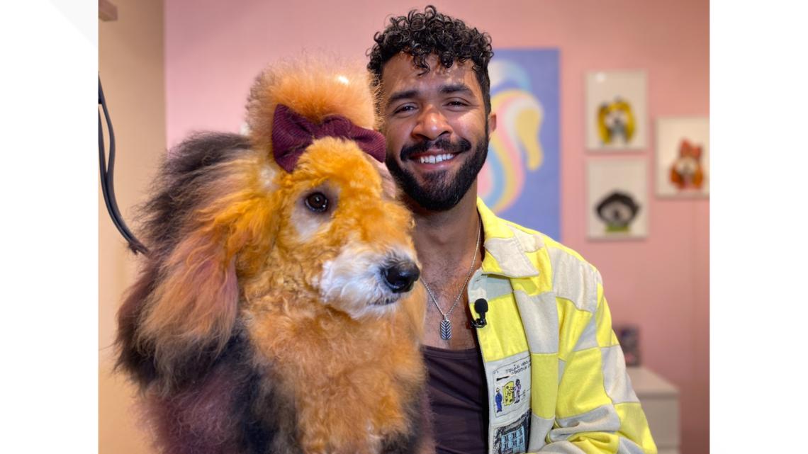 Famous dog groomer volunteers to give shelter dogs a new colorful look
