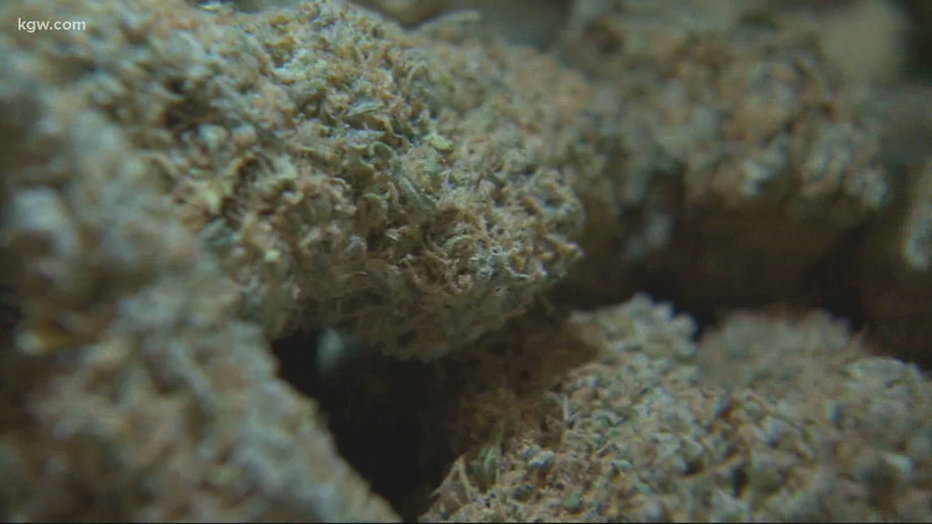 A look at the impact of the coronavirus on legal pot.
