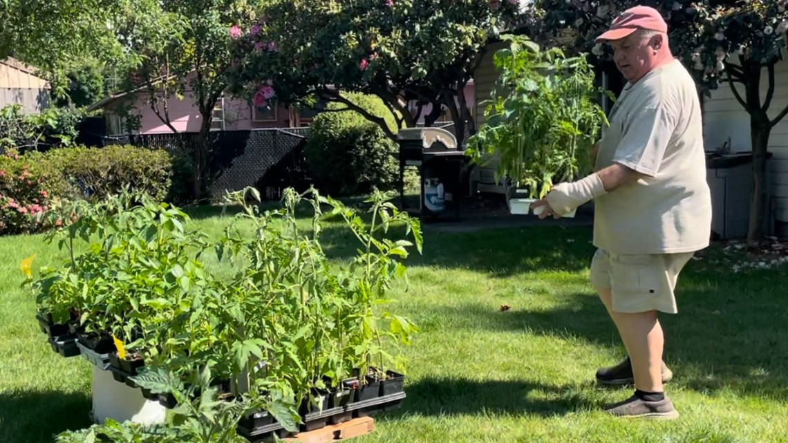Oregon man grows and gives away thousands of free veggie plants - Vimarsana News