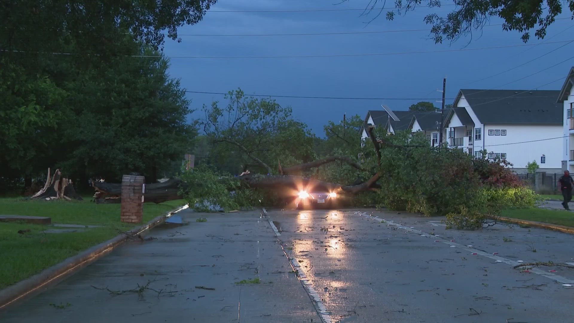 A tree fell on a vehicle in north Harris County during Monday's storms and a woman was killed, according to the Harris County Precinct 4 Constable's Office.
