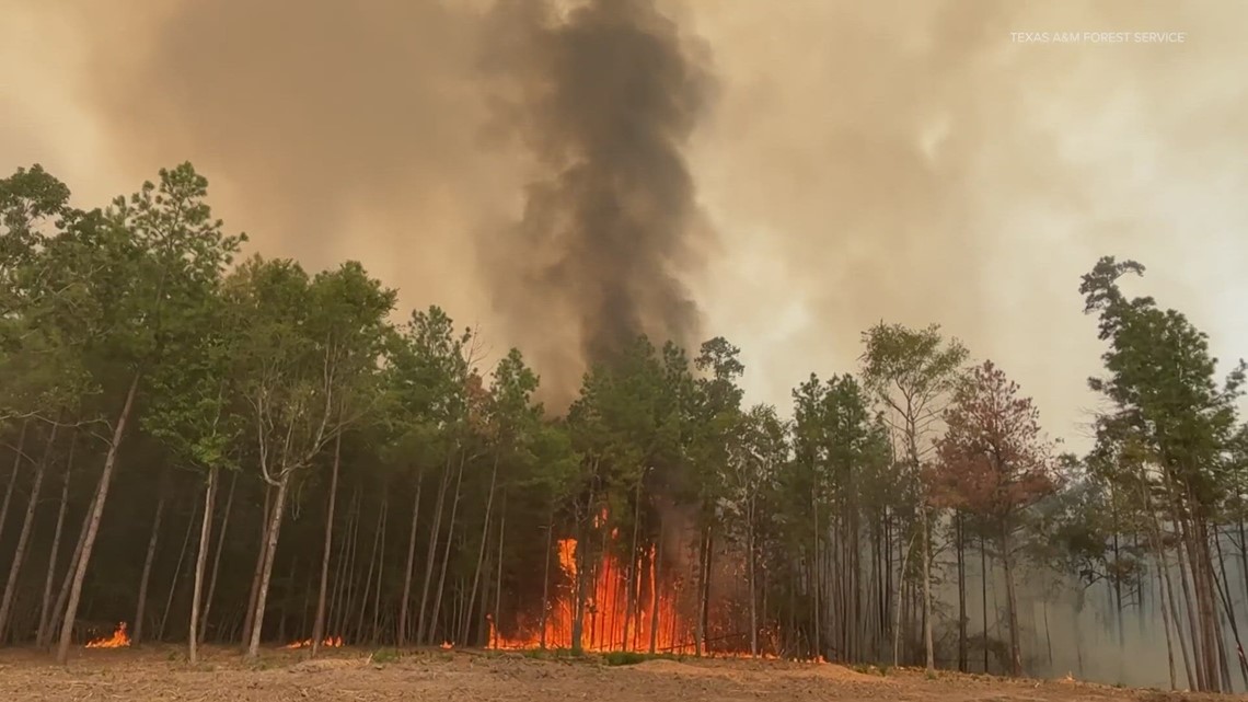 Game Preserve Fire: Evacuations lifted near Huntsville wildfire - Vimarsana News