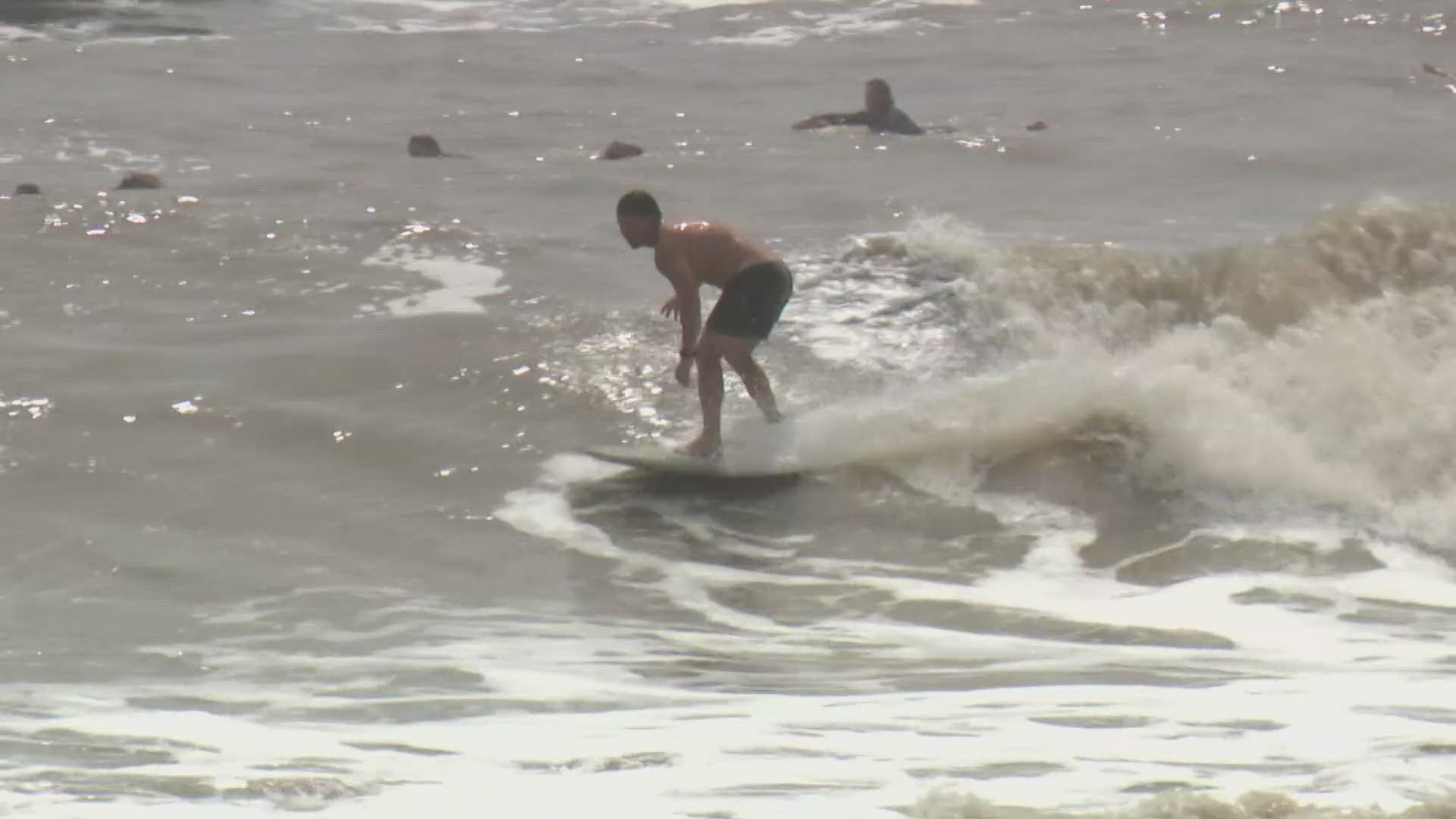 Hurricane Francine shook up the waters of the Gulf of Mexico as it made its way to the Louisiana coast.