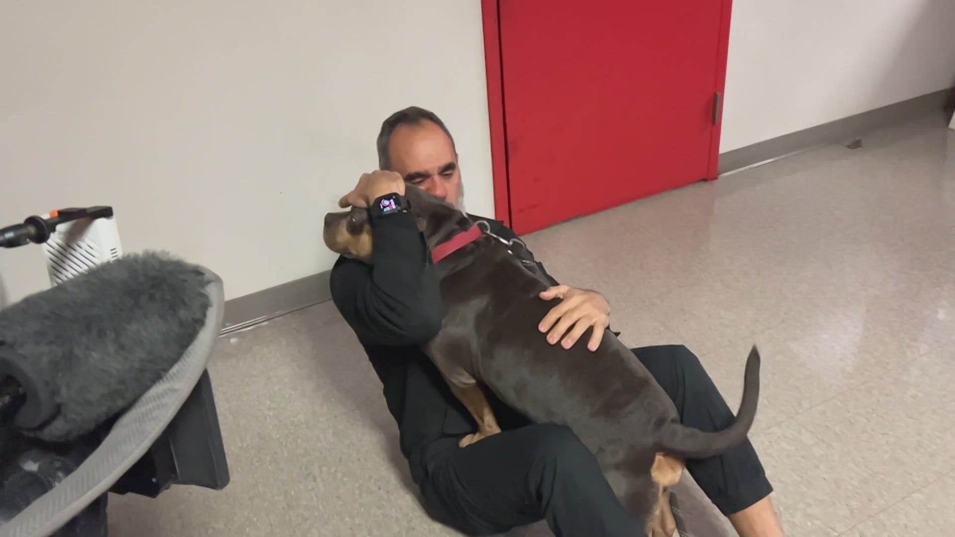 Dulce was reunited with its owner, Rob Trevino, after two men returned the dog to a Houston police substation on Friday (1/12).