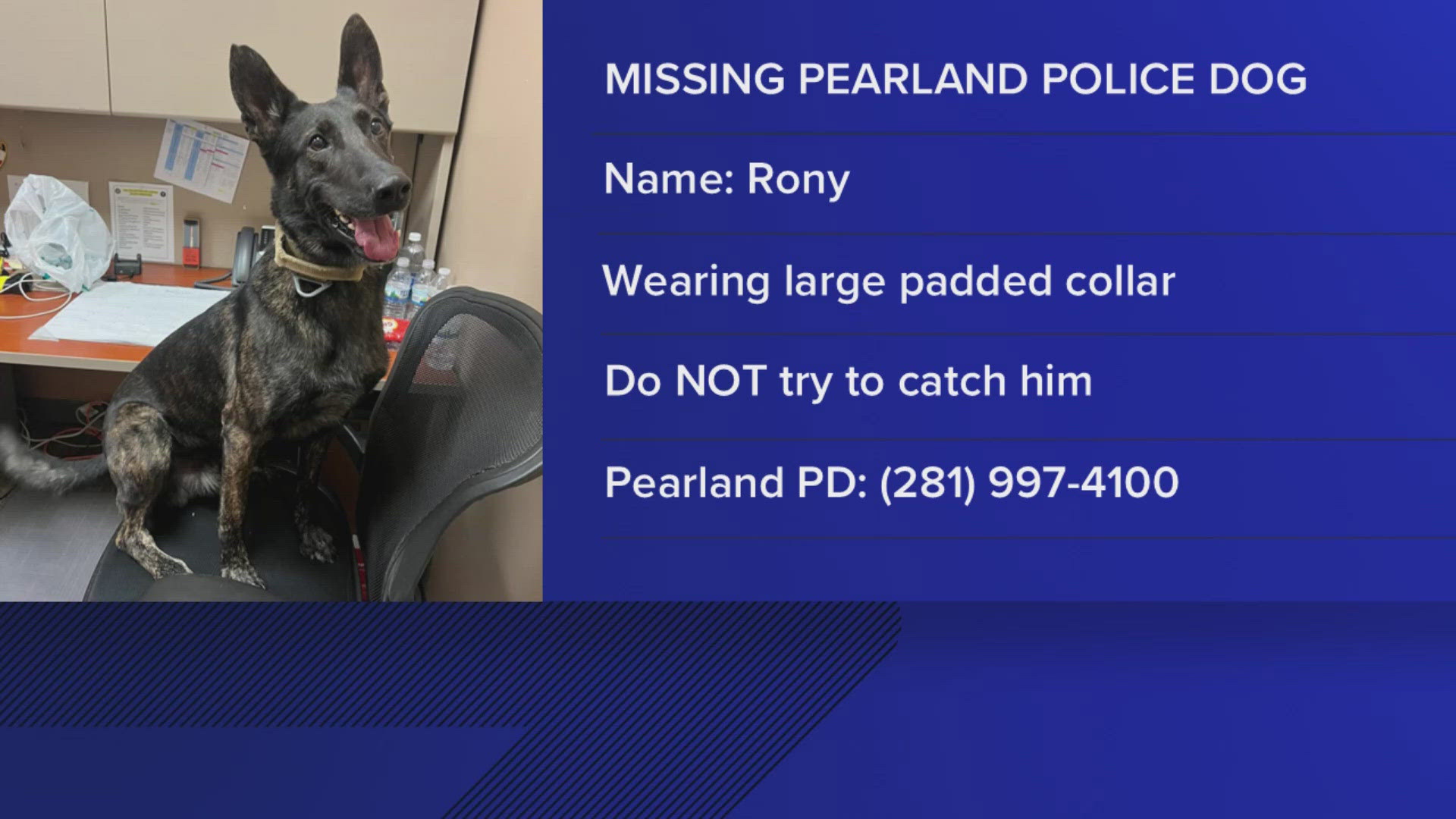 Police said on Sunday that Rony was missing from his home in the Lakes of Savannah neighborhood.