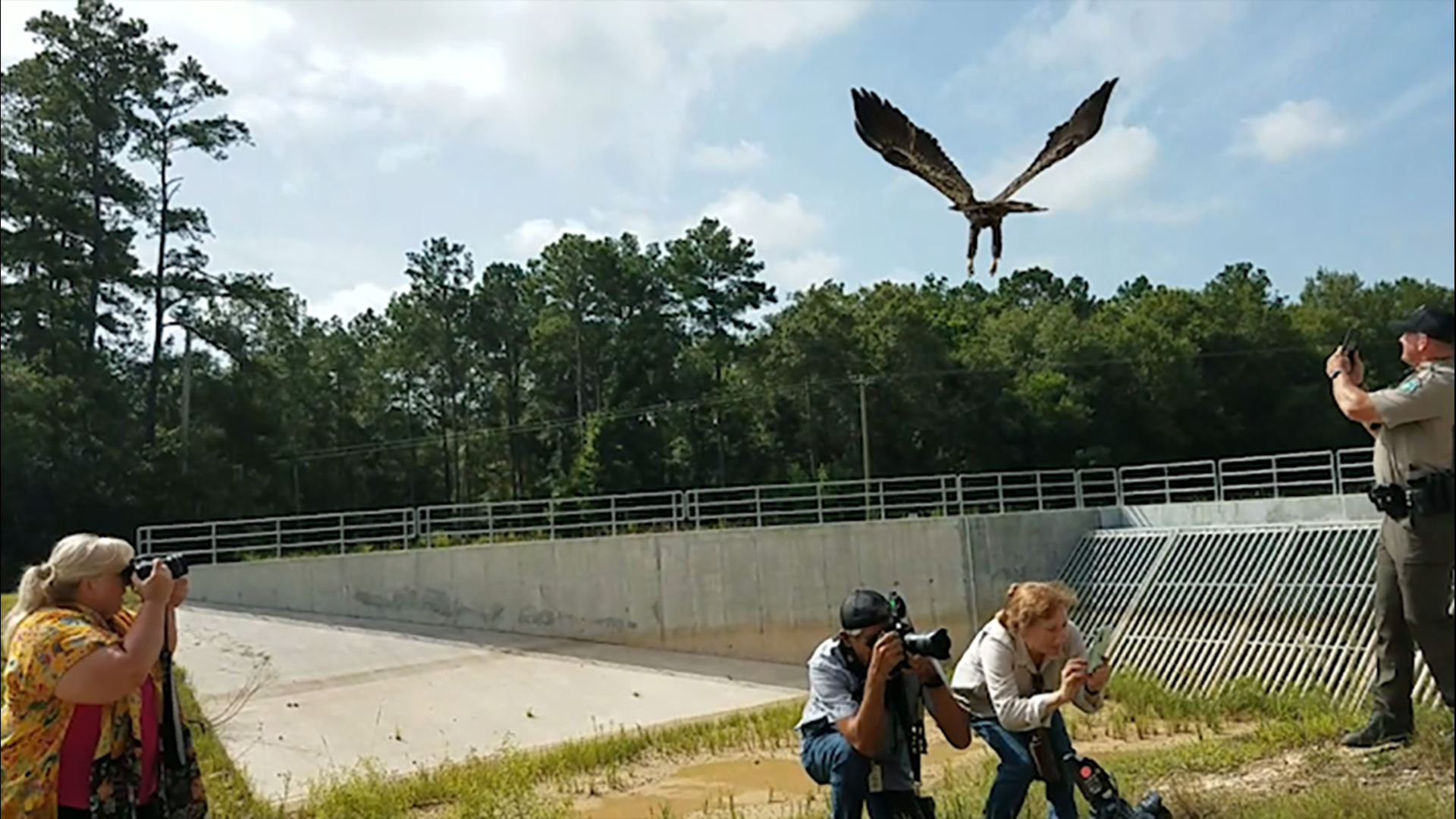 The Houston SPCA’s Wildlife Center of Texas released a juvenile bald eagle back into the wild Sunday. The bird was treated at the center since May.