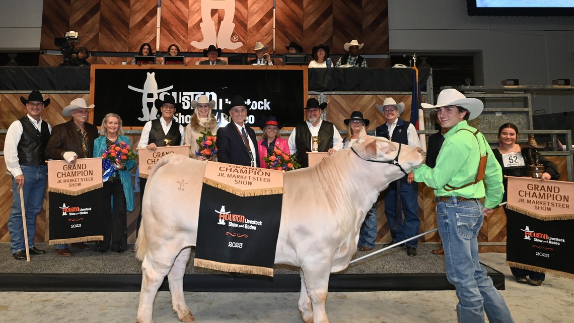 RodeoHouston Grand champion steer named - Vimarsana News