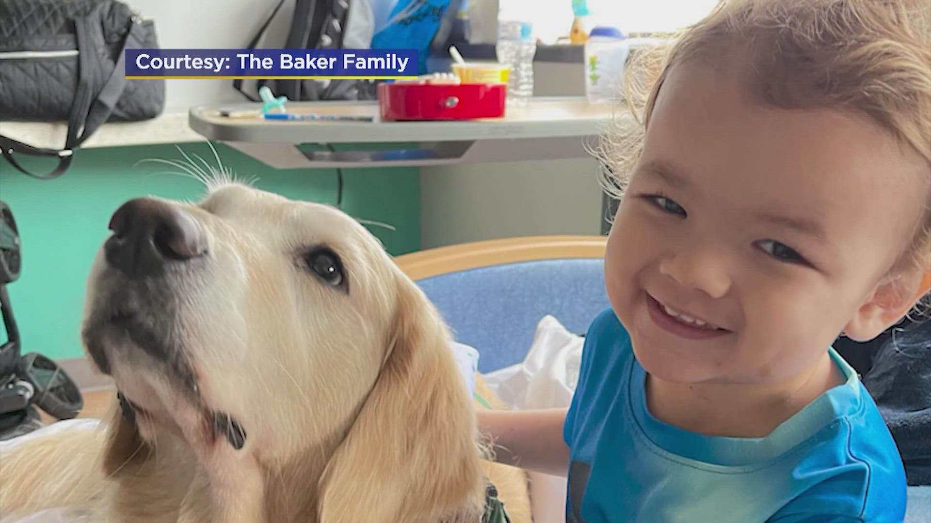 After brain surgery, chemotherapy and a stem cell transplant, Hudson Baker was cancer-free in September. But his parents were told last month the cancer is back.