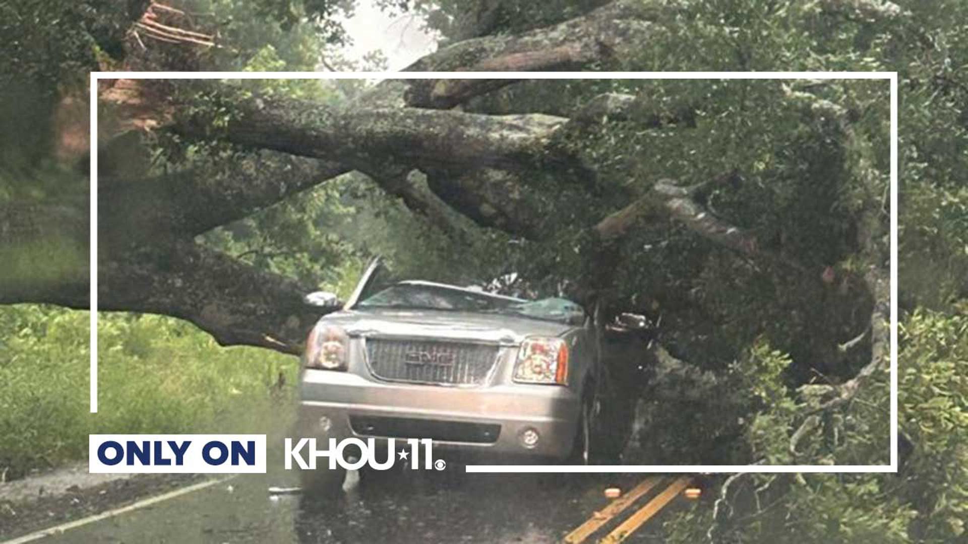 Bryan Pederson was driving home during the derecho in May when a tree fell on his SUV.