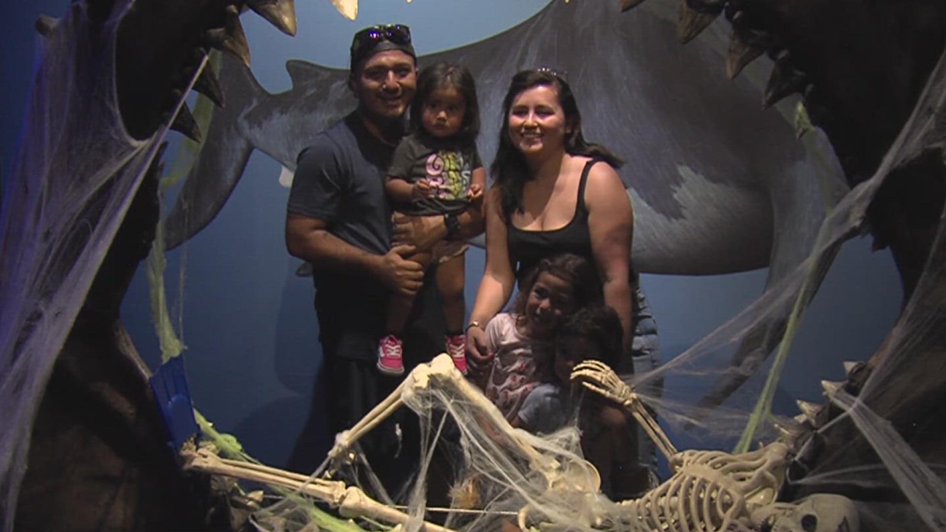 The annual event was filled with free candy, animal enrichment and plenty of Halloween decorations throughout the aquarium.