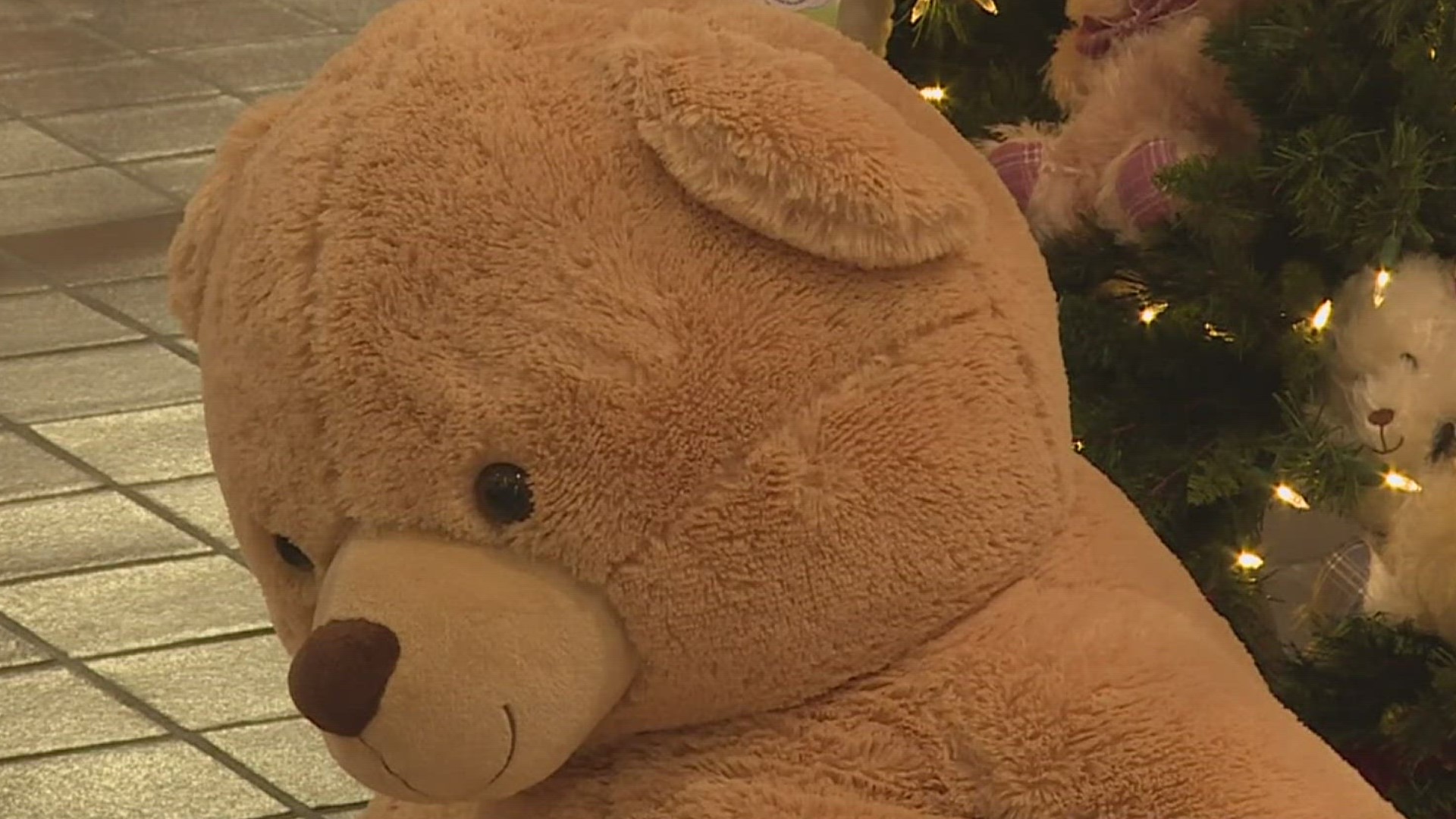 The teddy bears go to children who have suffered from neglect or abuse.