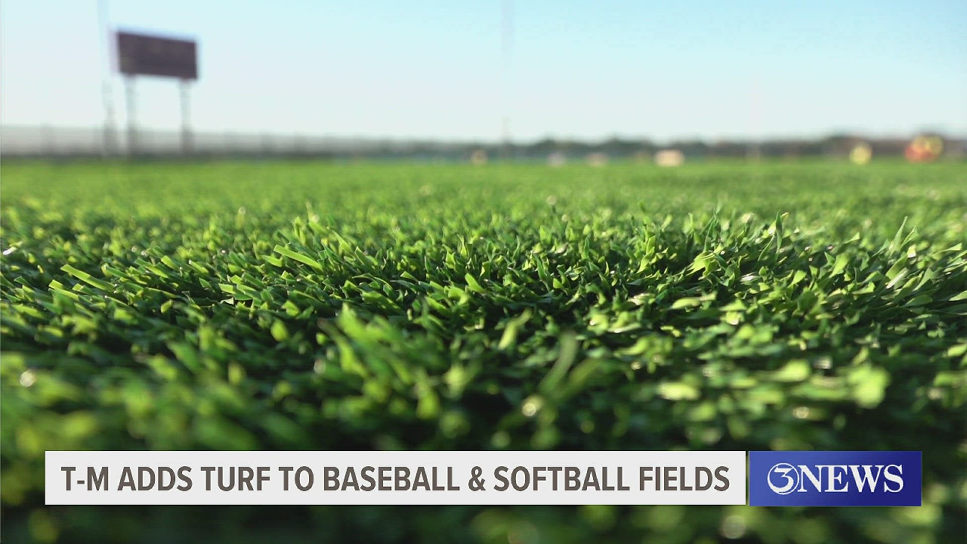 The projected completion date is February 1 and it costs about $1 million to lay turf on each field.