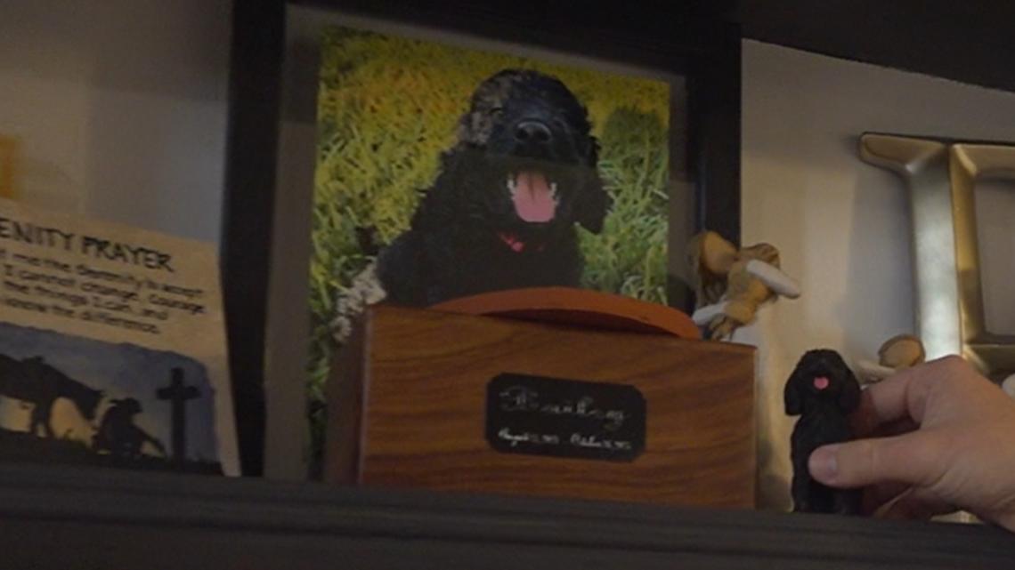Couple's doodle dies at Robstown boarding facility on their wedding day