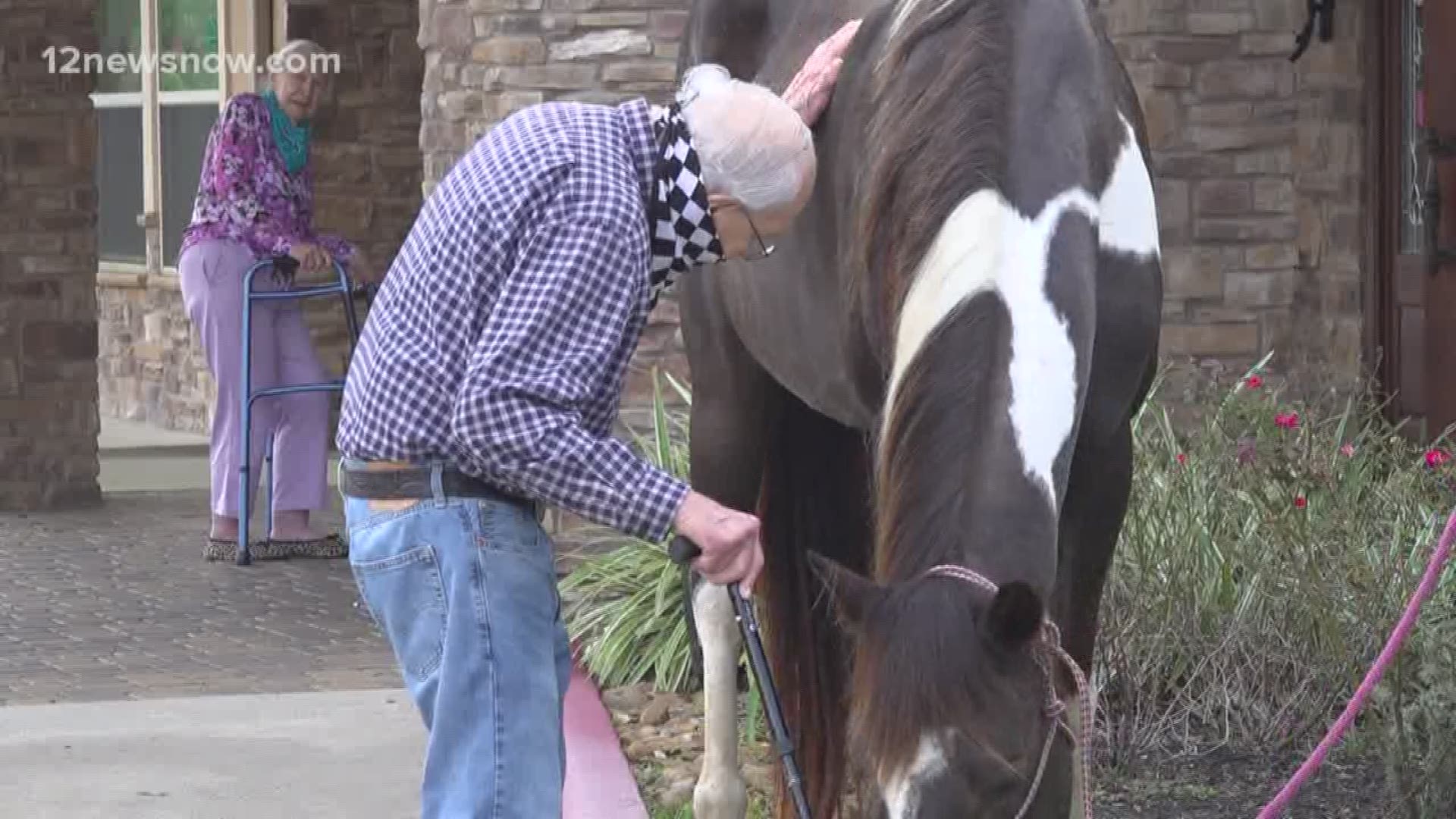 Normally, residents get to see therapy dogs. On Tuesday, they saw therapy horses instead