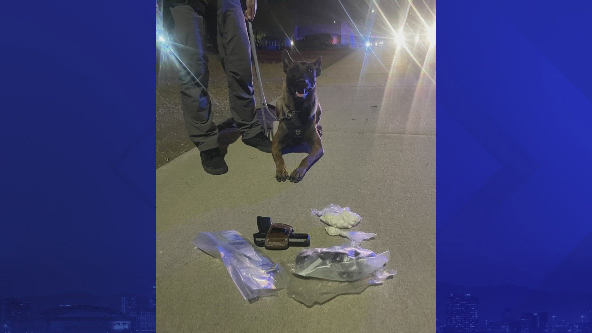 Mesa police pulled a car over on Sept. 16, suspecting that drugs were inside. Their K9 would prove that the officers were right.