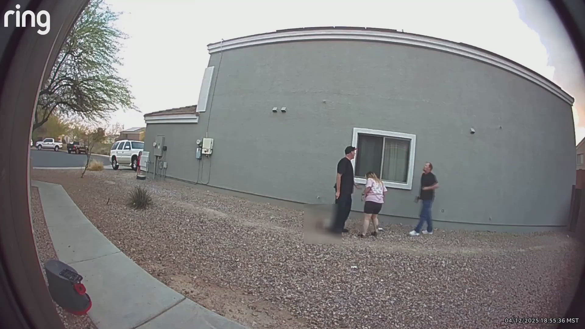 The dog was shot and killed  in Buckeye in April.