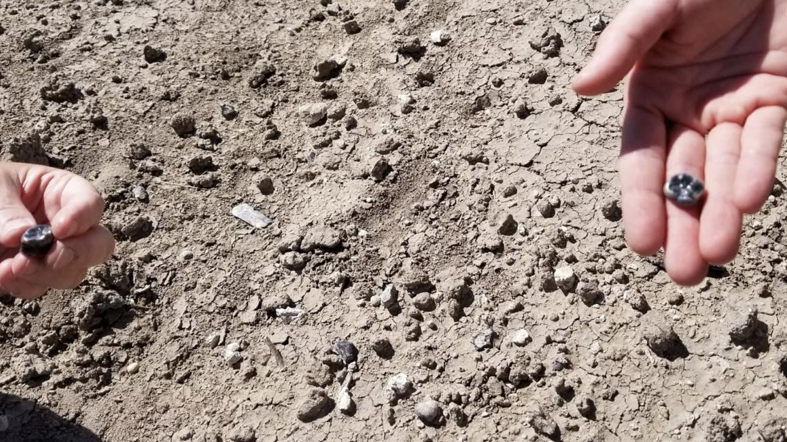 Fossilized teeth found by ASU scientists could answer some evolutionary questions