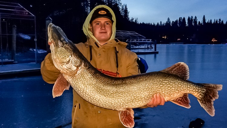 Ice fisher's patience and skill rewarded with colossal catch in Idaho lake