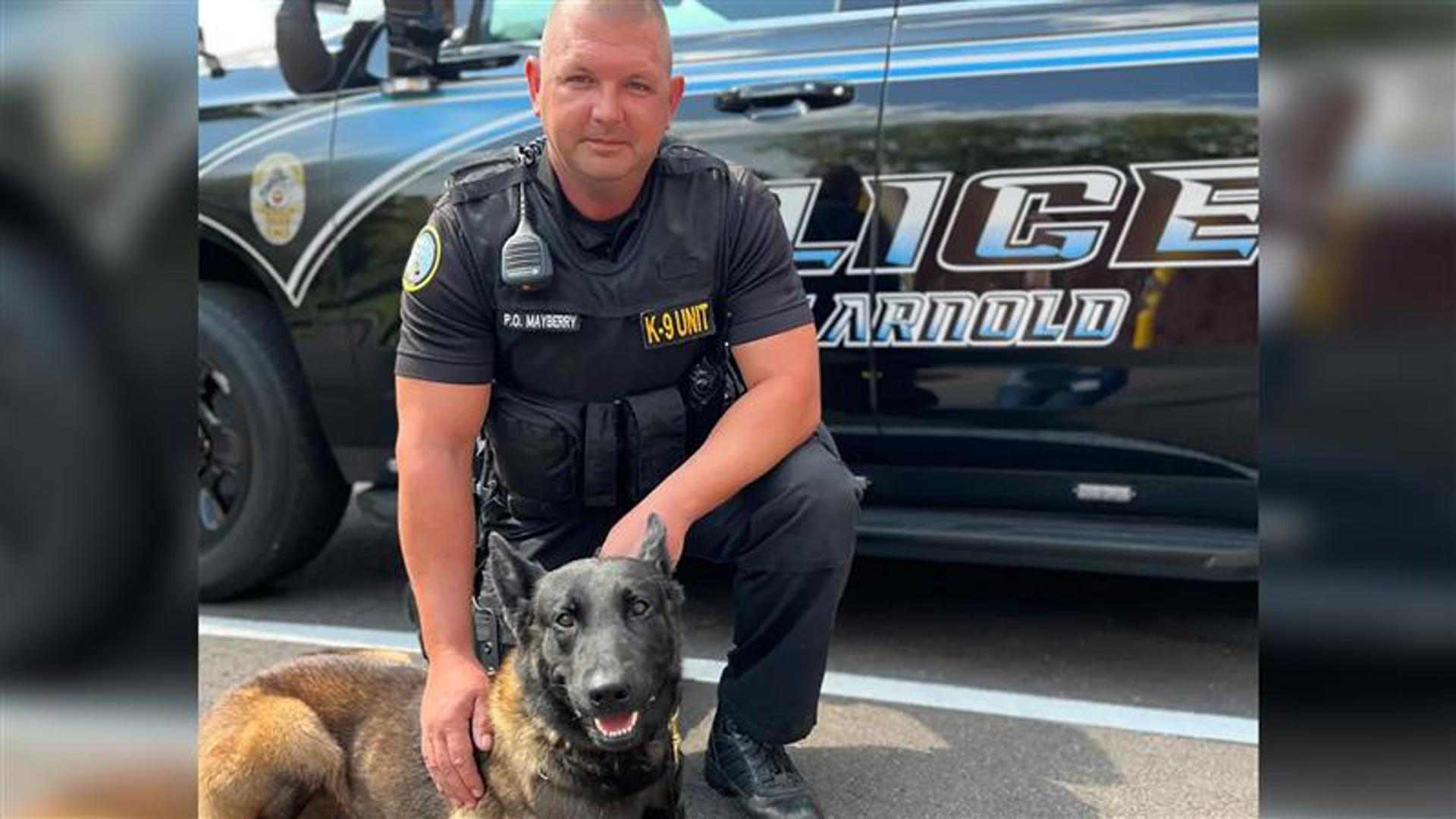 Vader, a 4-year-old Belgian Malinois, served the Arnold community as a K-9 for the Arnold Police Department.