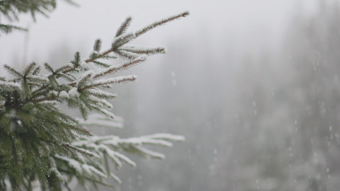 Denver might see snow this Thanksgiving, but it's rare - Vimarsana News