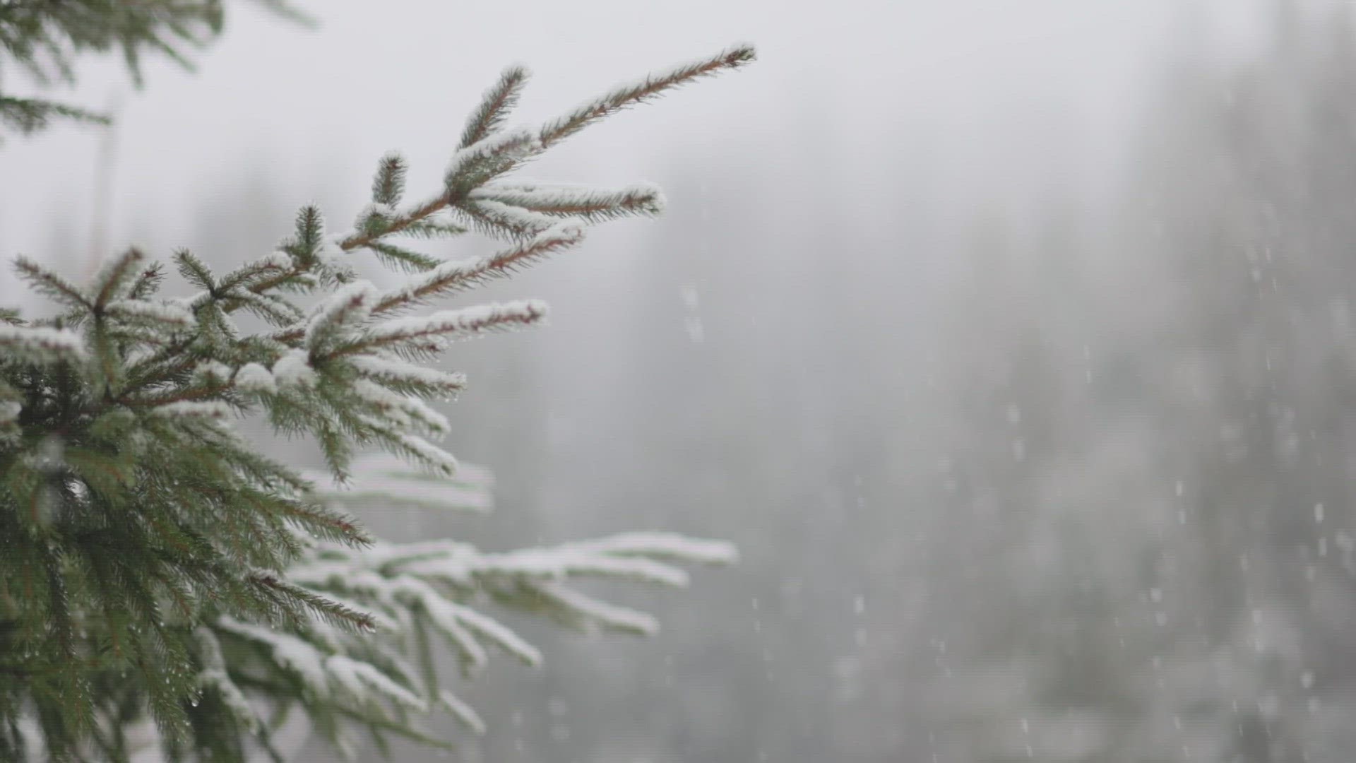 Snow is not common on Thanksgiving Day in Denver. There's been more than 1 inch of snow only three times in 74 years.