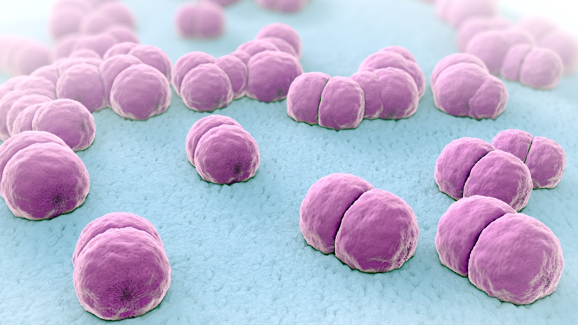 what-is-meningitis-and-how-can-you-protect-yourself-kens5