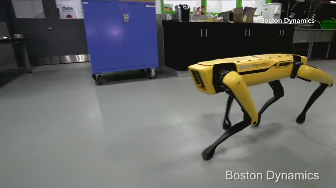New dog-like delivery robots coming to University of Texas campus - Vimarsana News