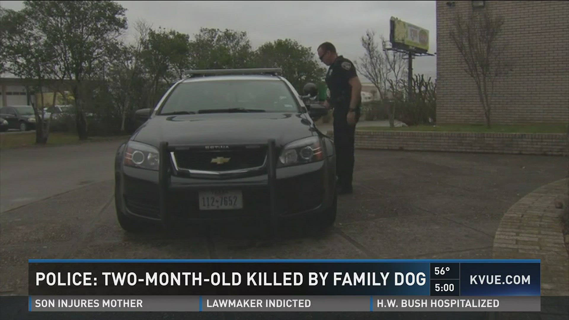 Police: 2-month-old killed by family dog