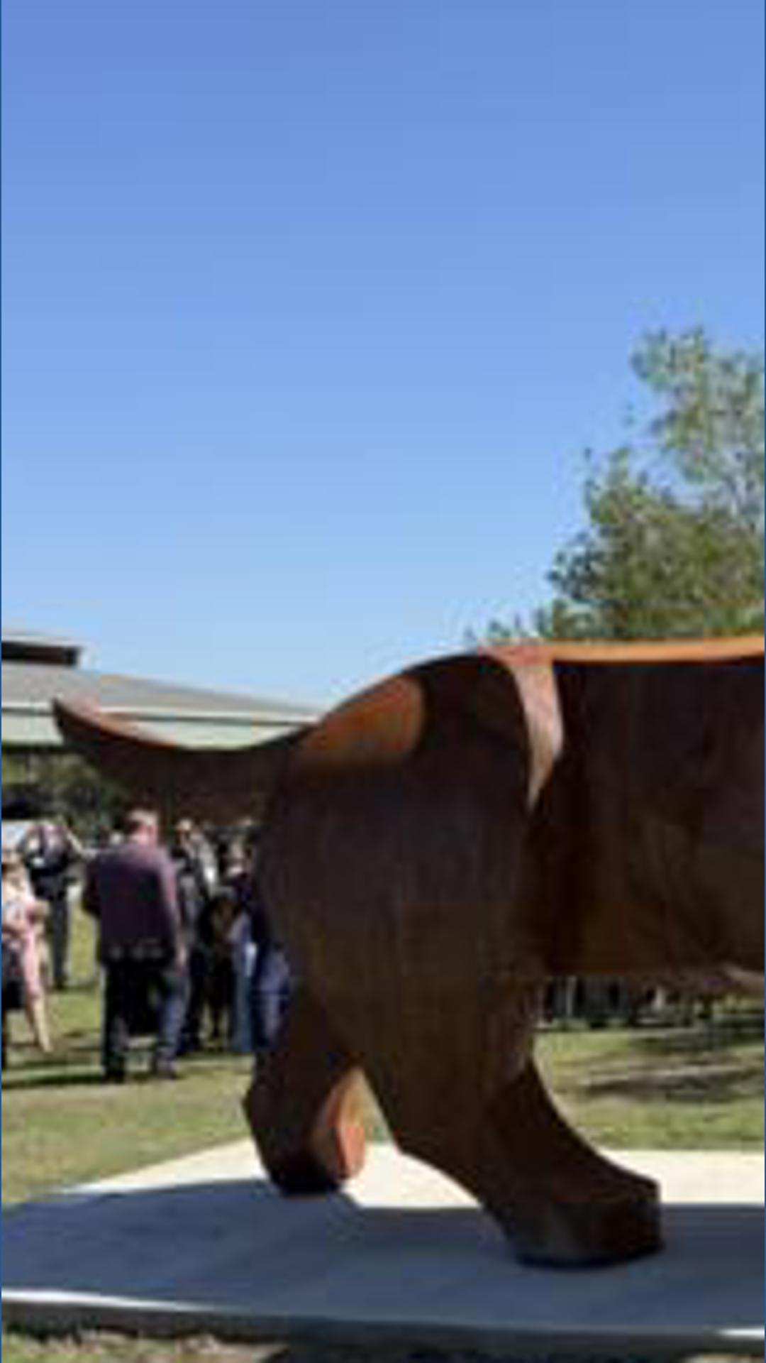 Buda’s newest landmark is a 19-foot-long wiener dog | kens5.com