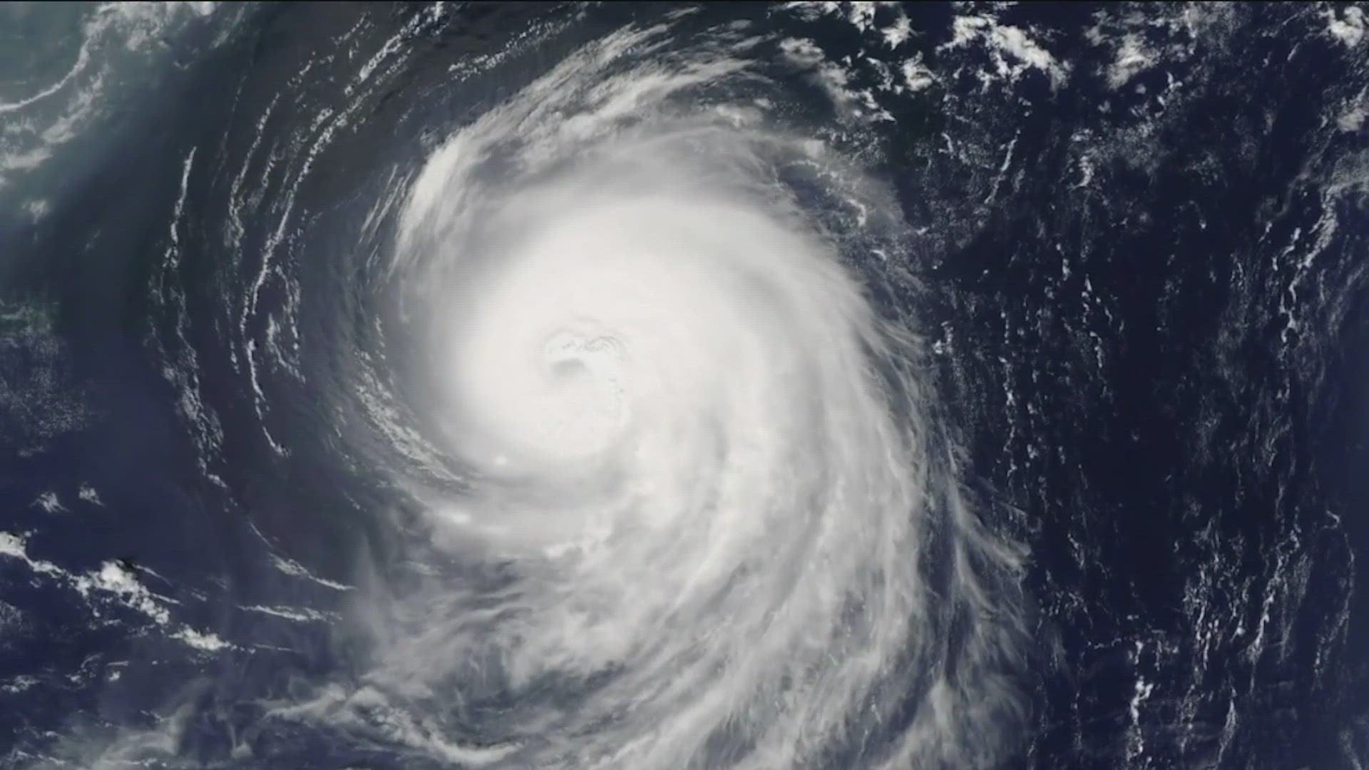 Surface water temperatures in the Gulf and Atlantic Ocean are at all-time highs since record-keeping began in 1981. That increases the risk of tropical storms.