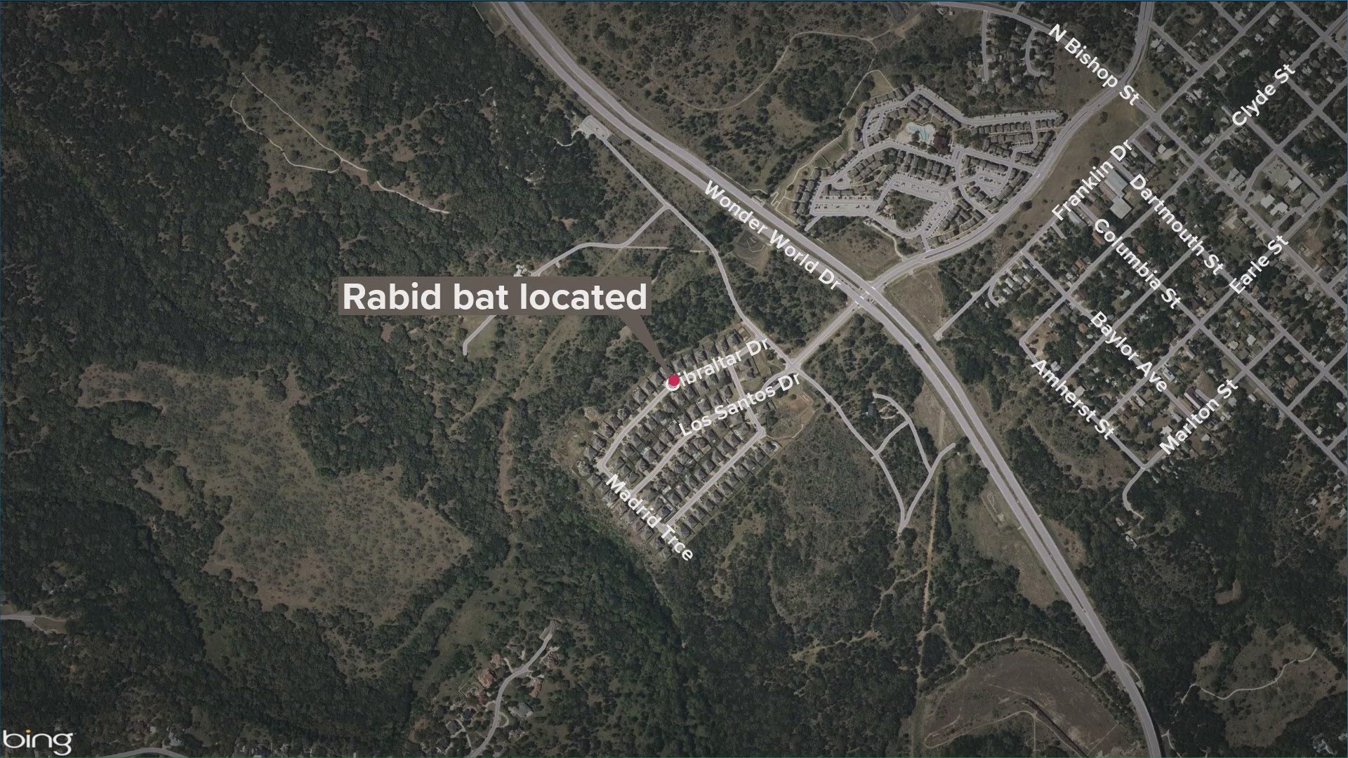 A person that came in contact with the bat is seeking treatment, according to the city.