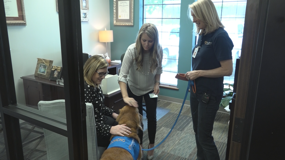 As Tax Day looms, therapy dogs bring accountants a sense of relief