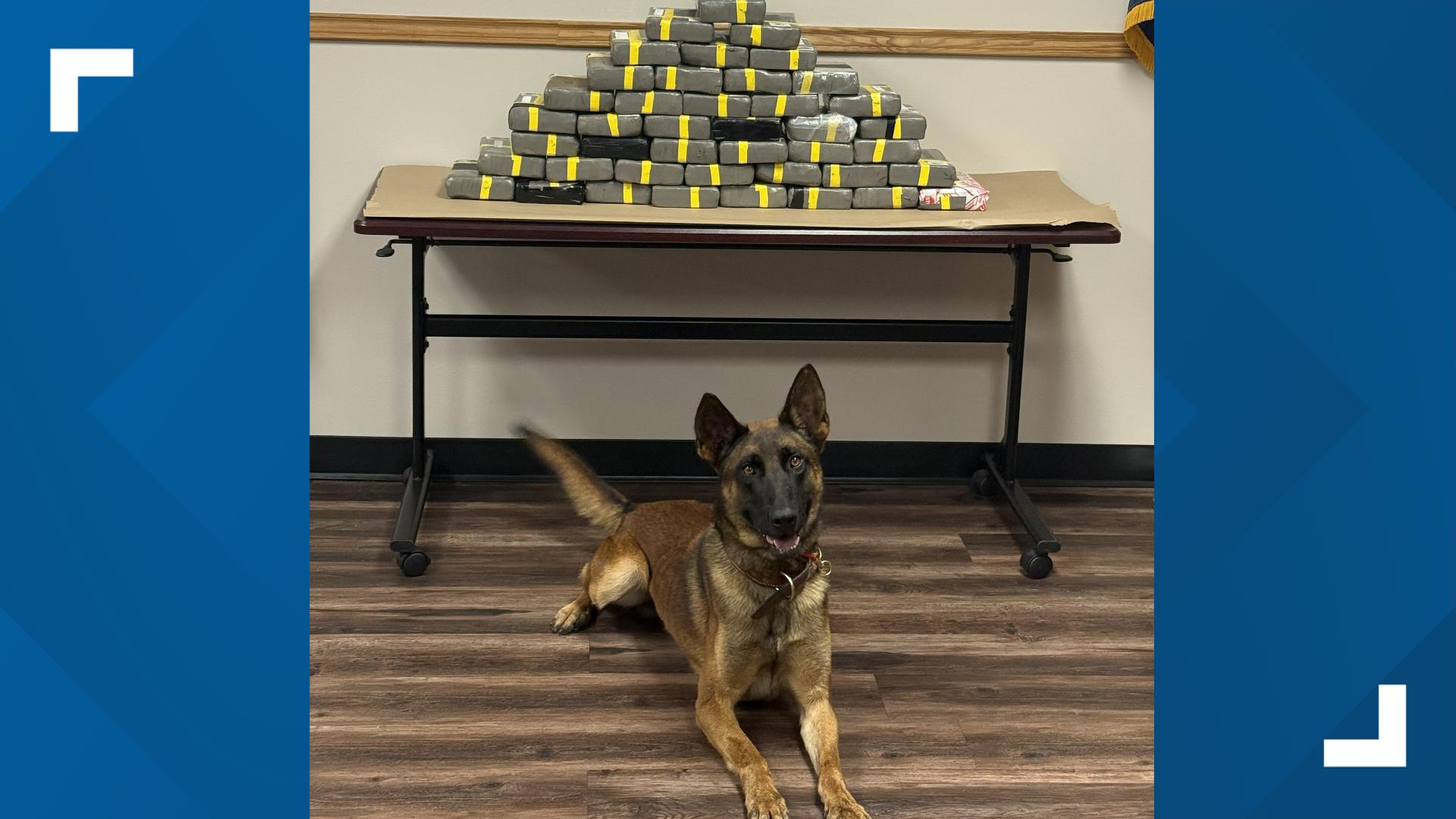 Nacogdoches County K-9 finds 46 kilograms cocaine in SUV trunk, leading to 3 arrests