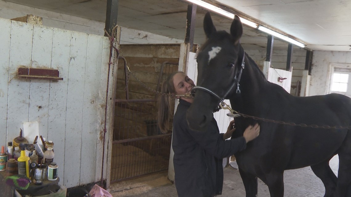 Horse becomes 'Saving Grace' for Maine domestic violence survivor - Vimarsana News