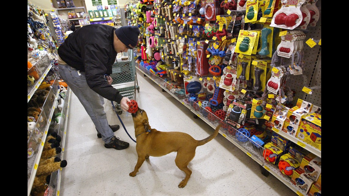 Amid PetSmart deaths, how to keep dogs safe at the groomer