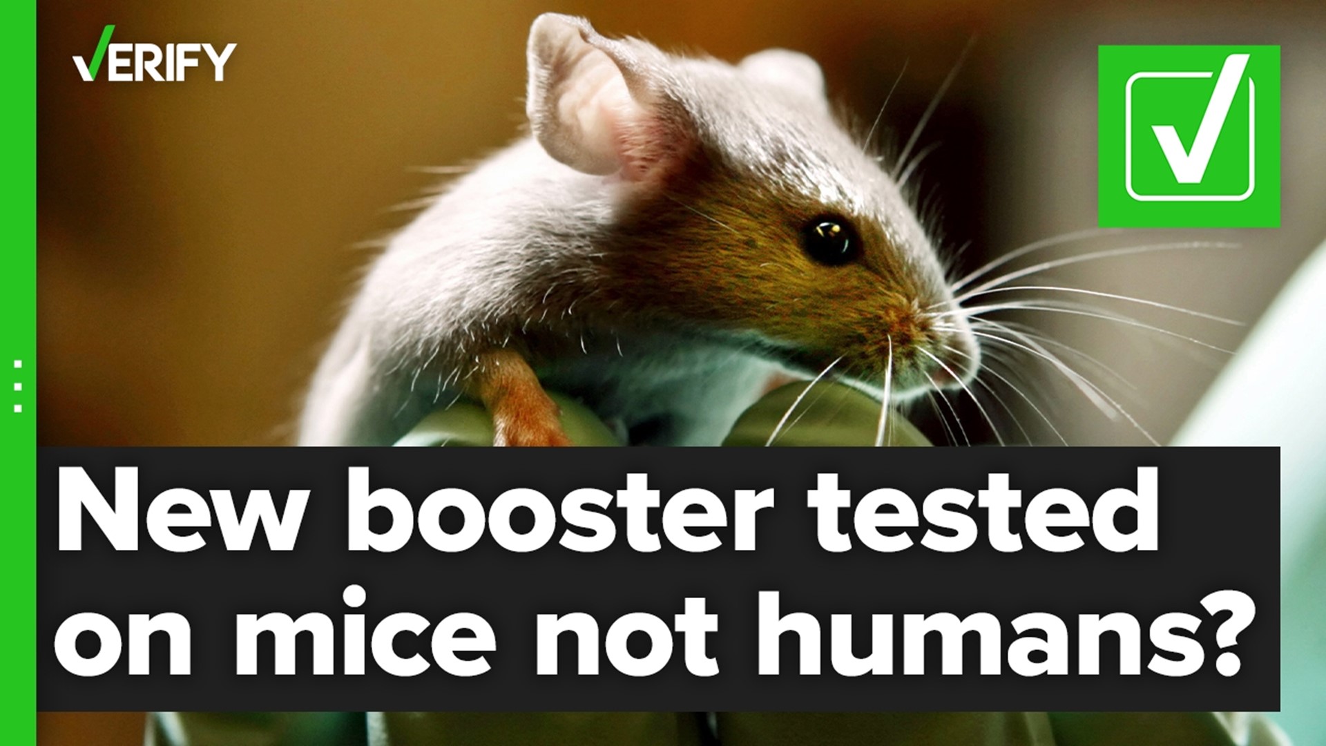 It’s true that the updated omicron boosters for BA.5 were only tested on mice, not humans, before FDA authorization. But experts say this isn’t uncommon.