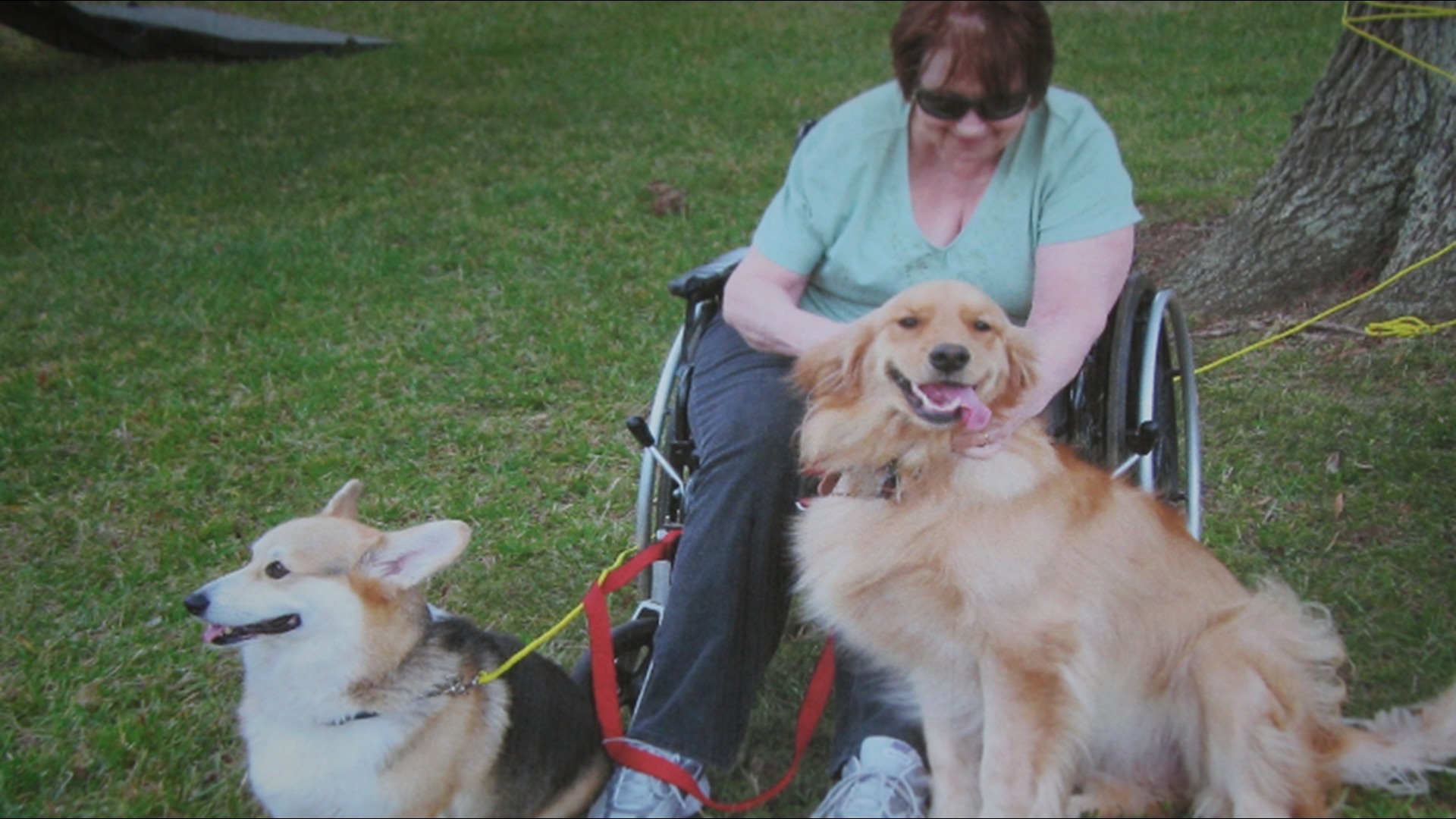 Steve Houghton, 72, and his sidekick, Ginger, visit an elementary school, a community college, a nursing home, and a hospital on a regular basis.