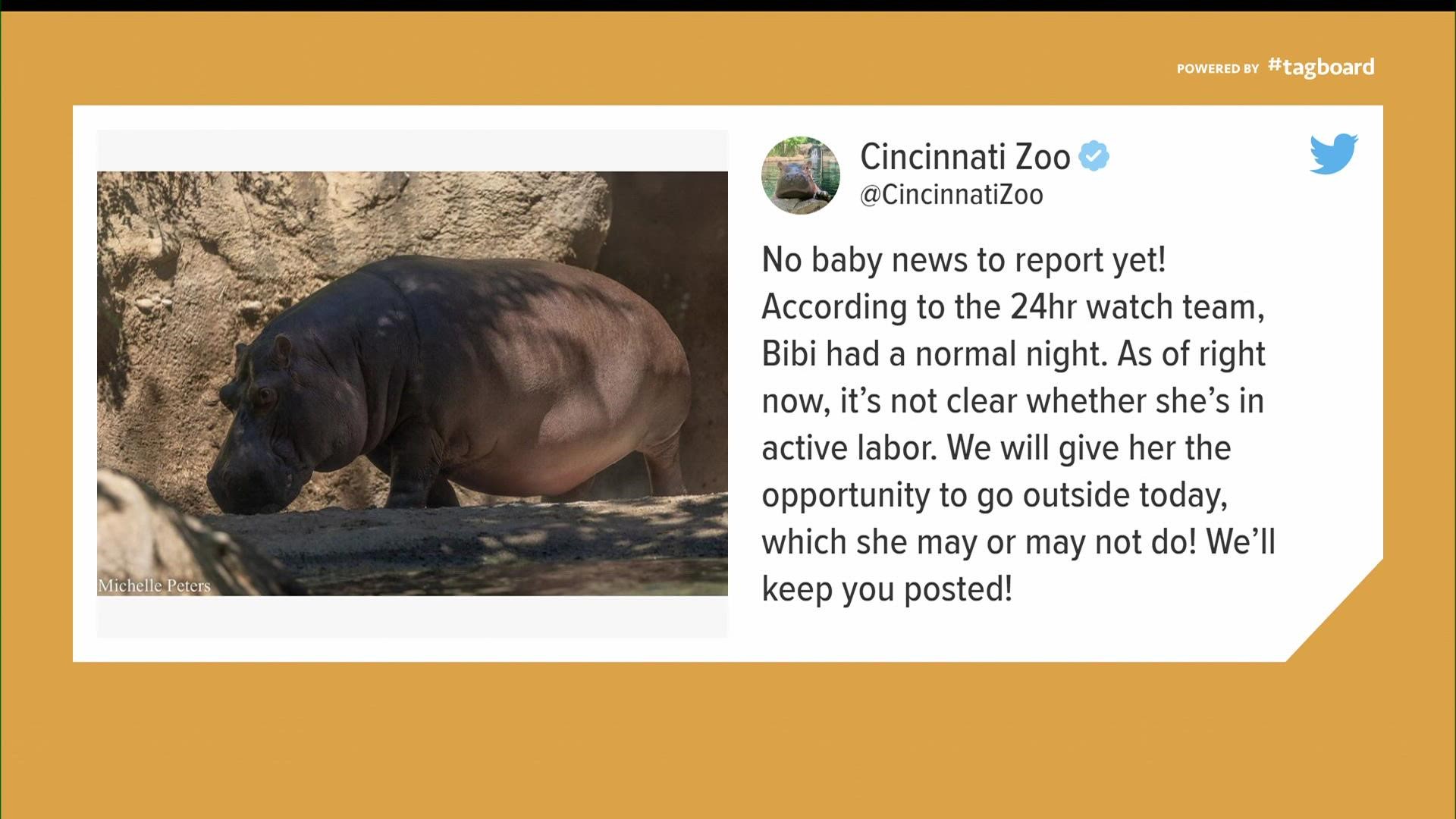 The zoo was on high alert Thursday morning for its newest arrival.