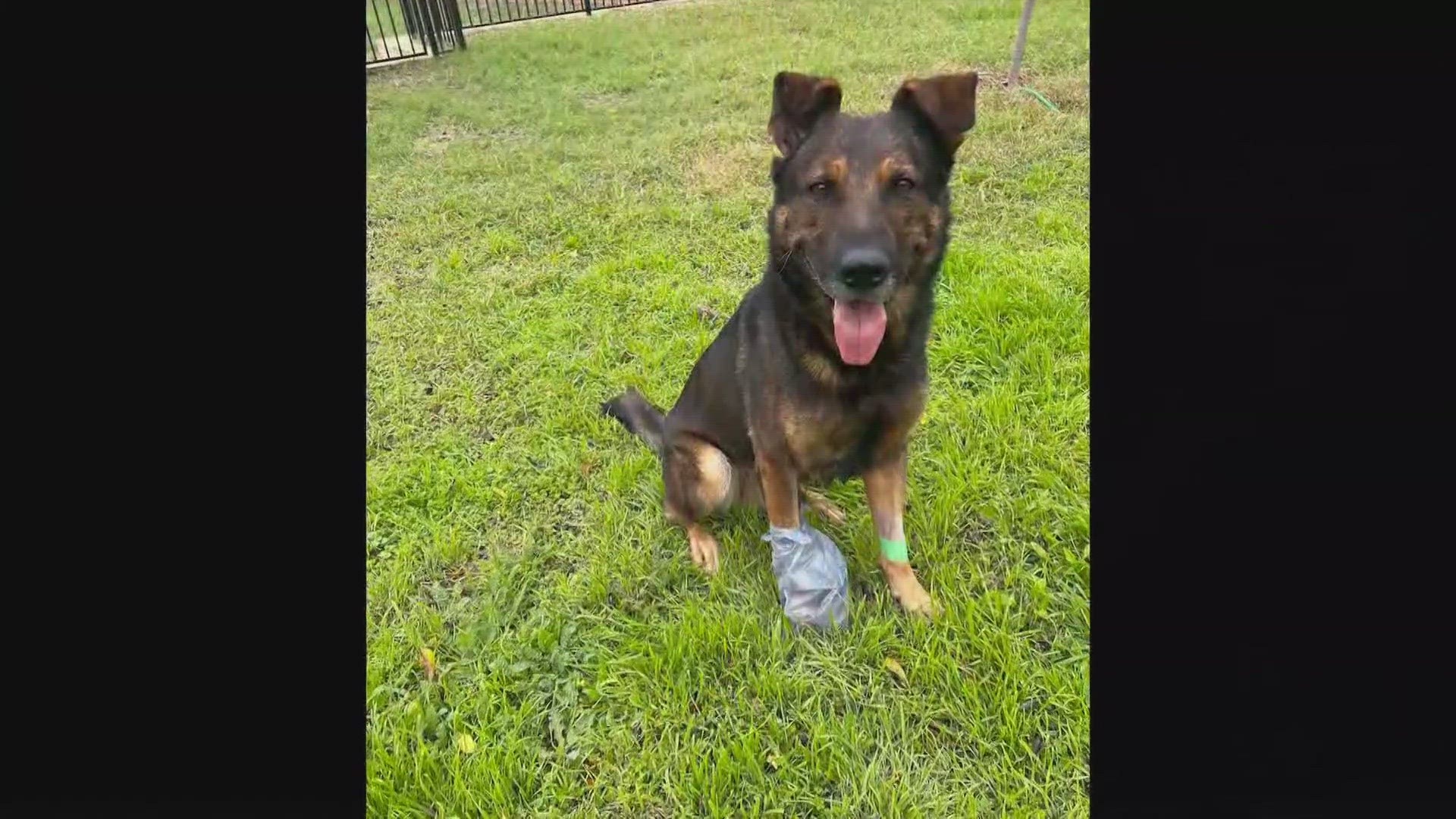 WFAA sent a crew Friday to Parker County to get more information about a deadly shooting involving officers. The suspect died, and a K-9 was shot.