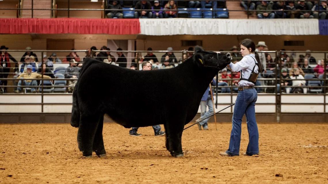 'Snoop Dog' wins grand championship at Fort Worth Stock Show - Vimarsana News
