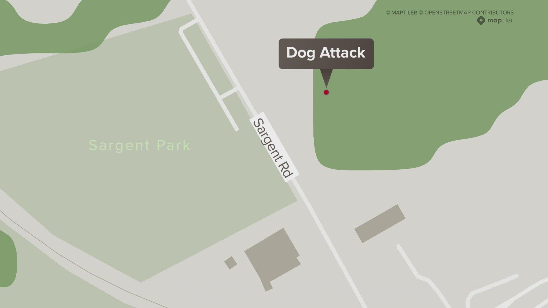 Police responded to reports of five aggressive dogs, which bit one person, Dallas police said.