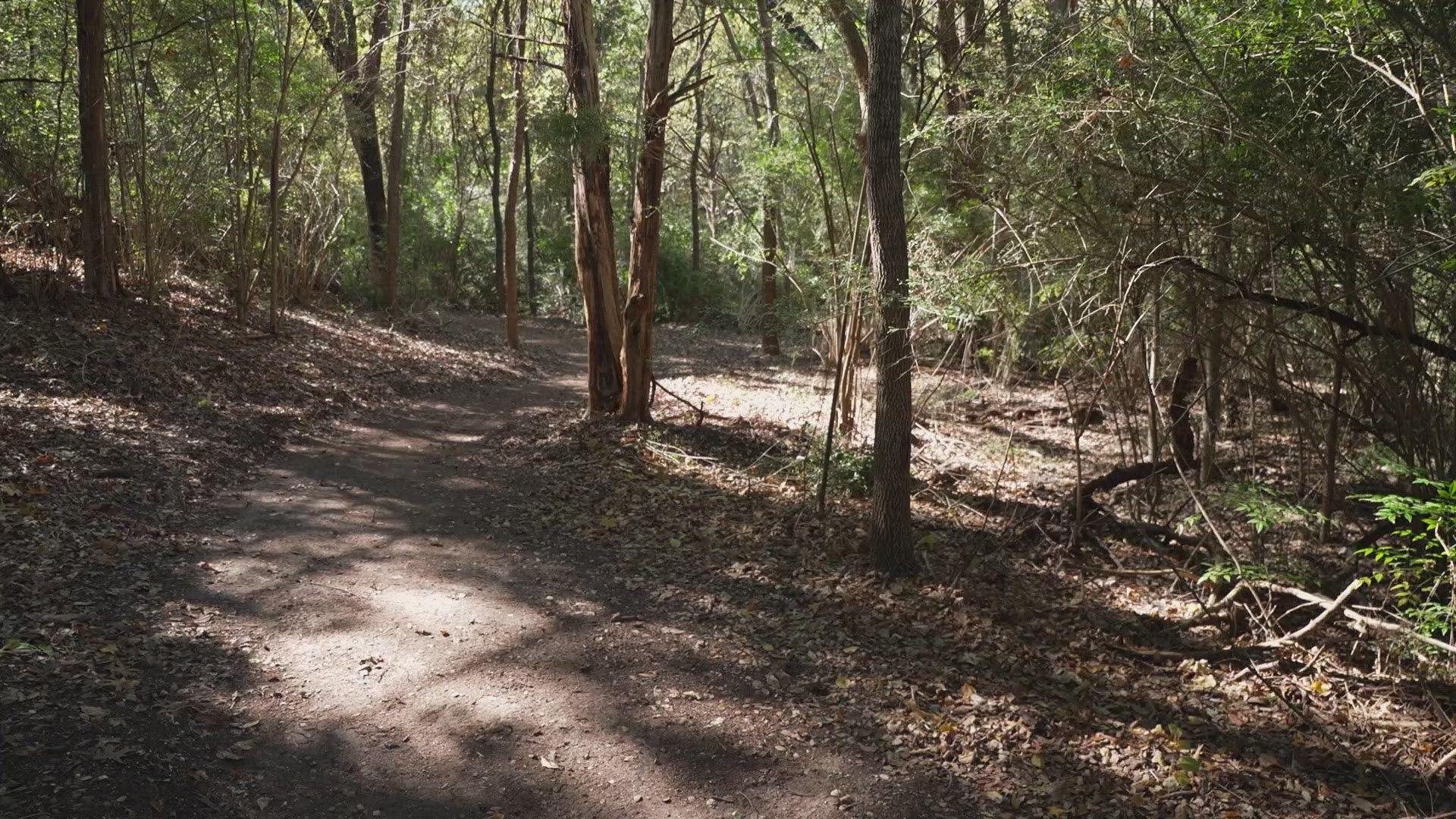 WFAA is going to officially open our new nature trail alongside Greenspace Dallas!