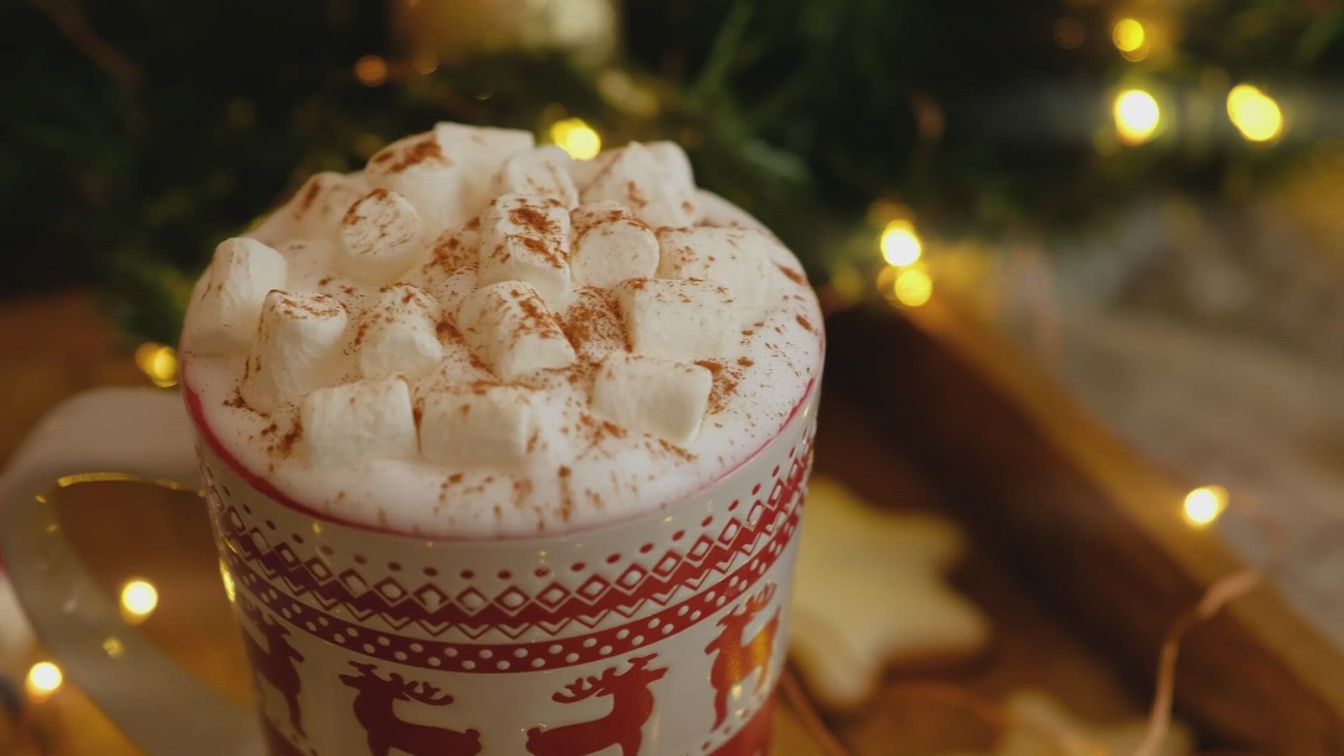 Whether you like it steaming hot or frozen cold, there's some hot cocoa out there for you.