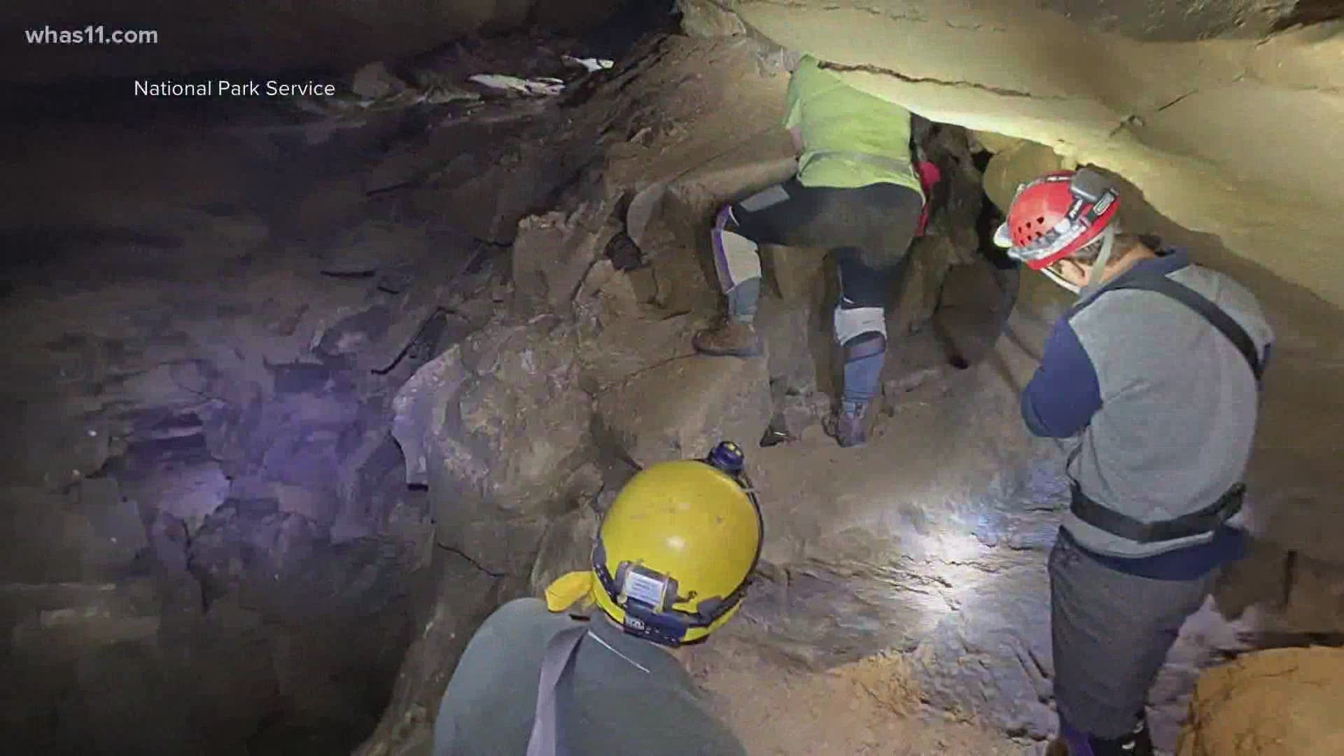 Paleontologists said the dry land that Kentuckians now live on was once a haven for sharks.