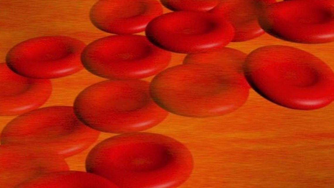 From diagnosis to remission: A father shares his blood cancer survivor story