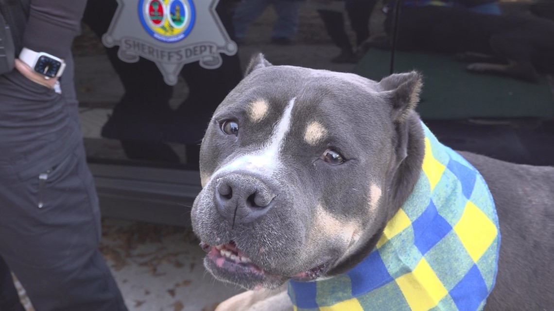 Richland County Sheriff's Department Welcome Four Legged Friend | Kens5.com