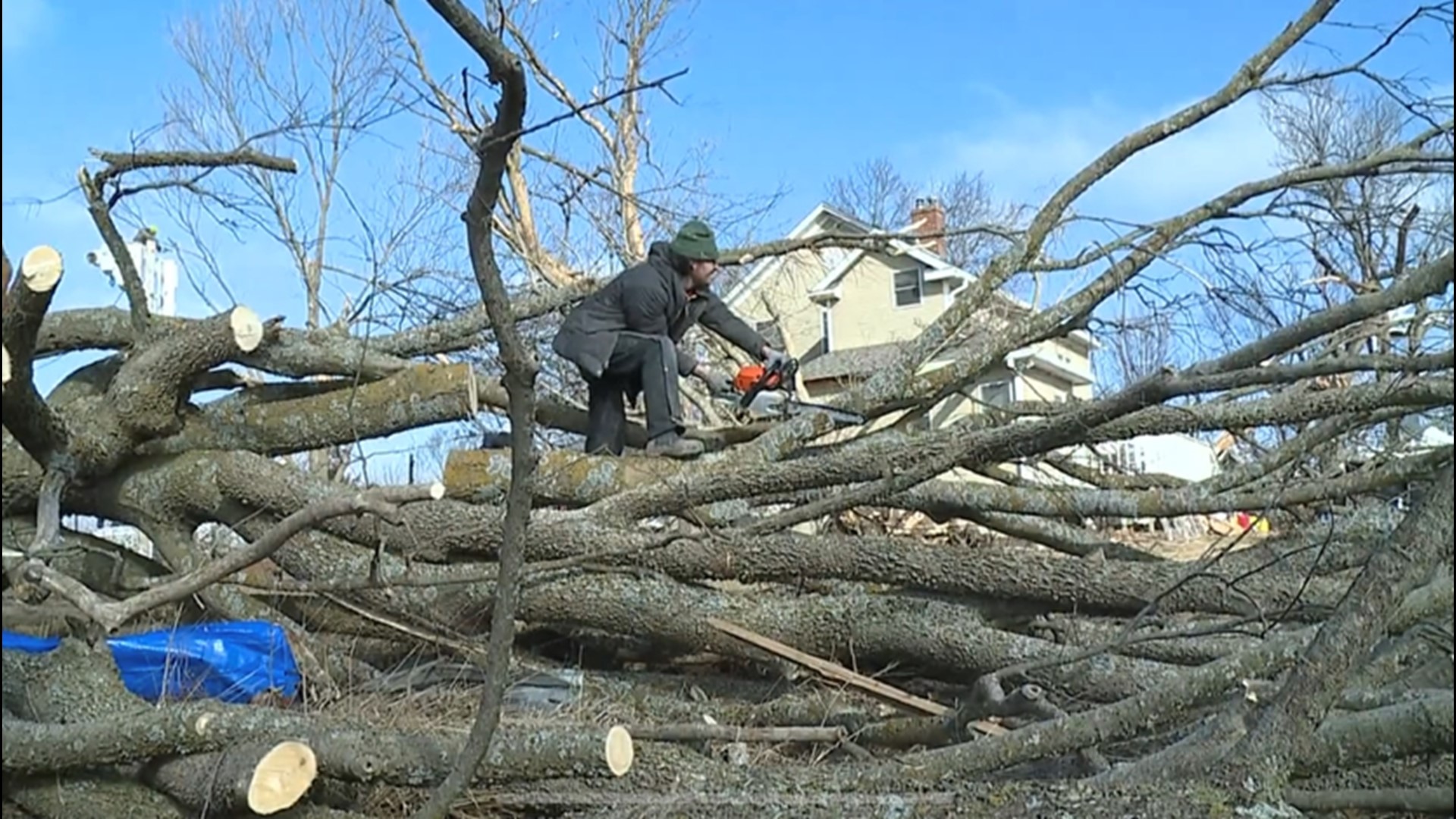 "It's just crazy seeing something that was just so lush, just completely flattened," said Jenn O'Neal, owner of PepperHarrow Farm.