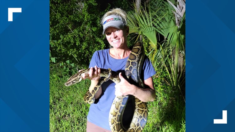 Indiana woman trades real estate career for python hunting in Florida