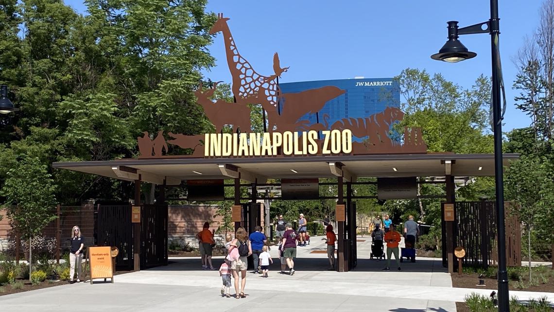 Dolphin calf dies at Indianapolis Zoo days after birth(02)