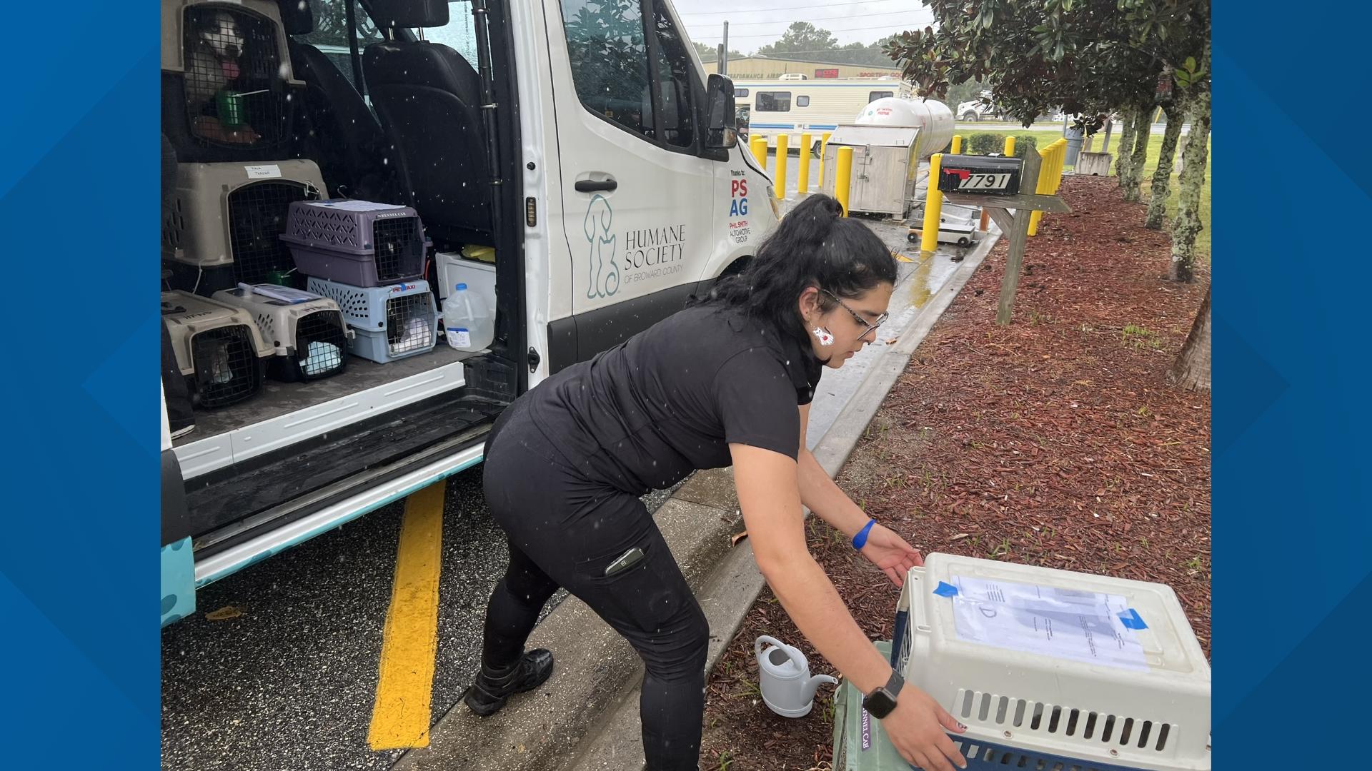 Jacksonville nonprofit rescues 93 animals before Hurricane Helene